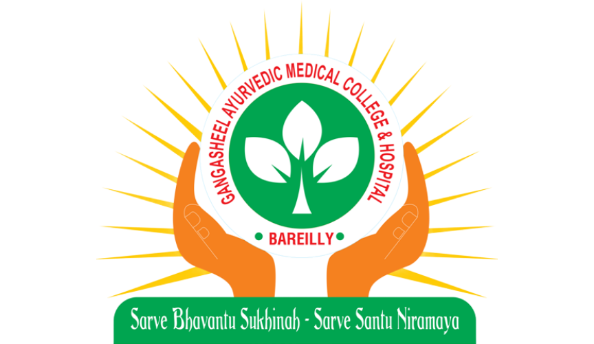 Softville Technology